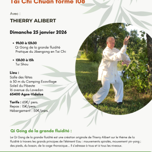 Retraite énergétique : Qi Gong et Taichi près de Lourdes avec Thierry Alibert – 25 janvier 2026- Matinée